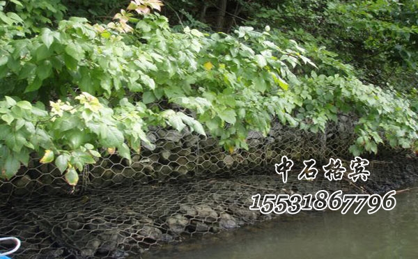 護坡賓格網(wǎng)